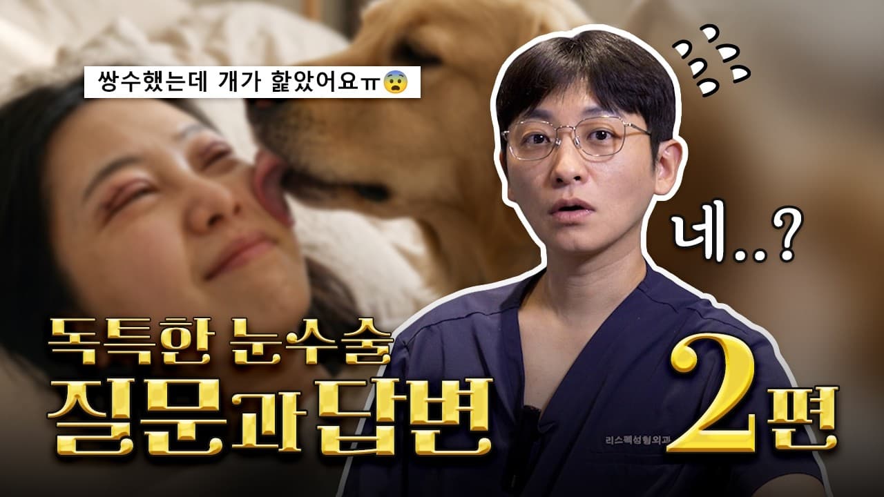 쌍수 후 강아지가 눈을 핥았다고? ㅣ눈 성형 아무 질문 Q&A 2부!